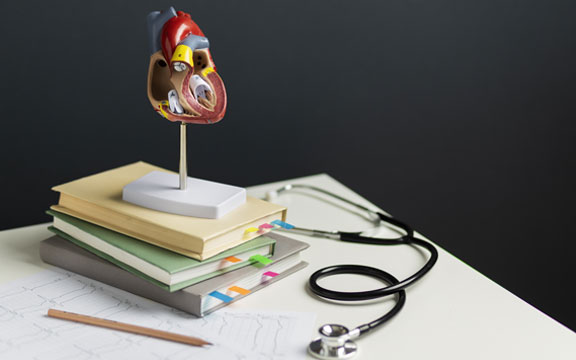 Services dr Golnaz Samadi Pic10